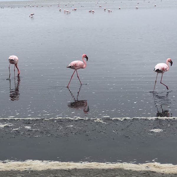 Sossusvlei Desert Experience - Image 1