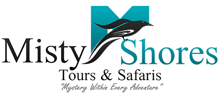 Misty Shores Logo