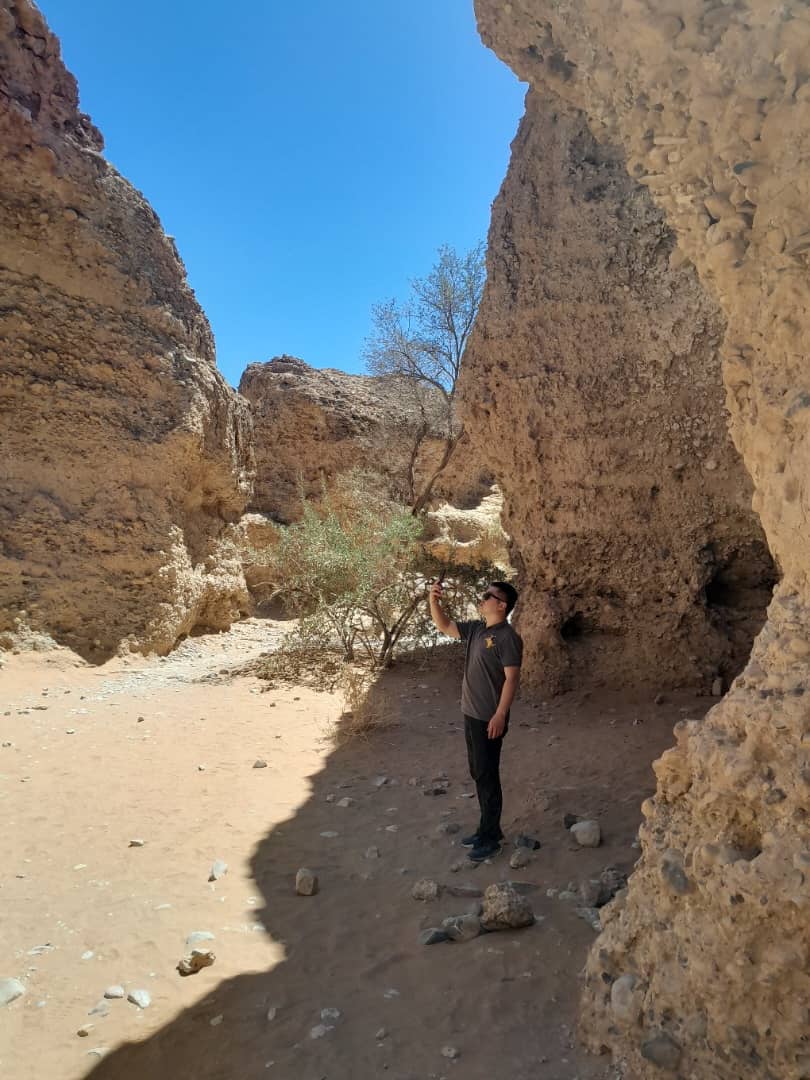 Park Entry & Activity Fees